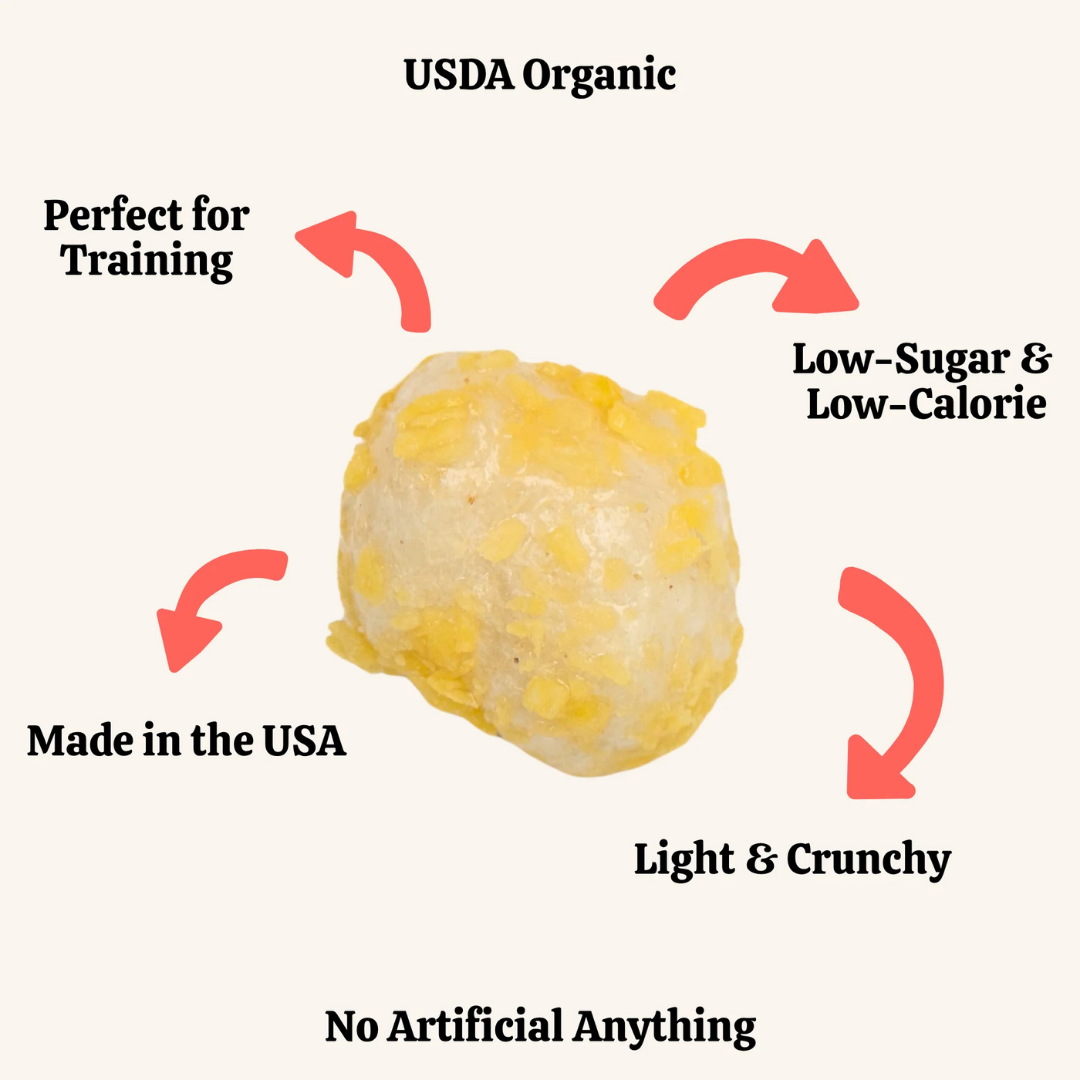 Sunny Side Protein Love Puffs | Organic Egg + Turmeric