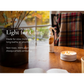 Grow Natural Candle | Autumn Heirloom
