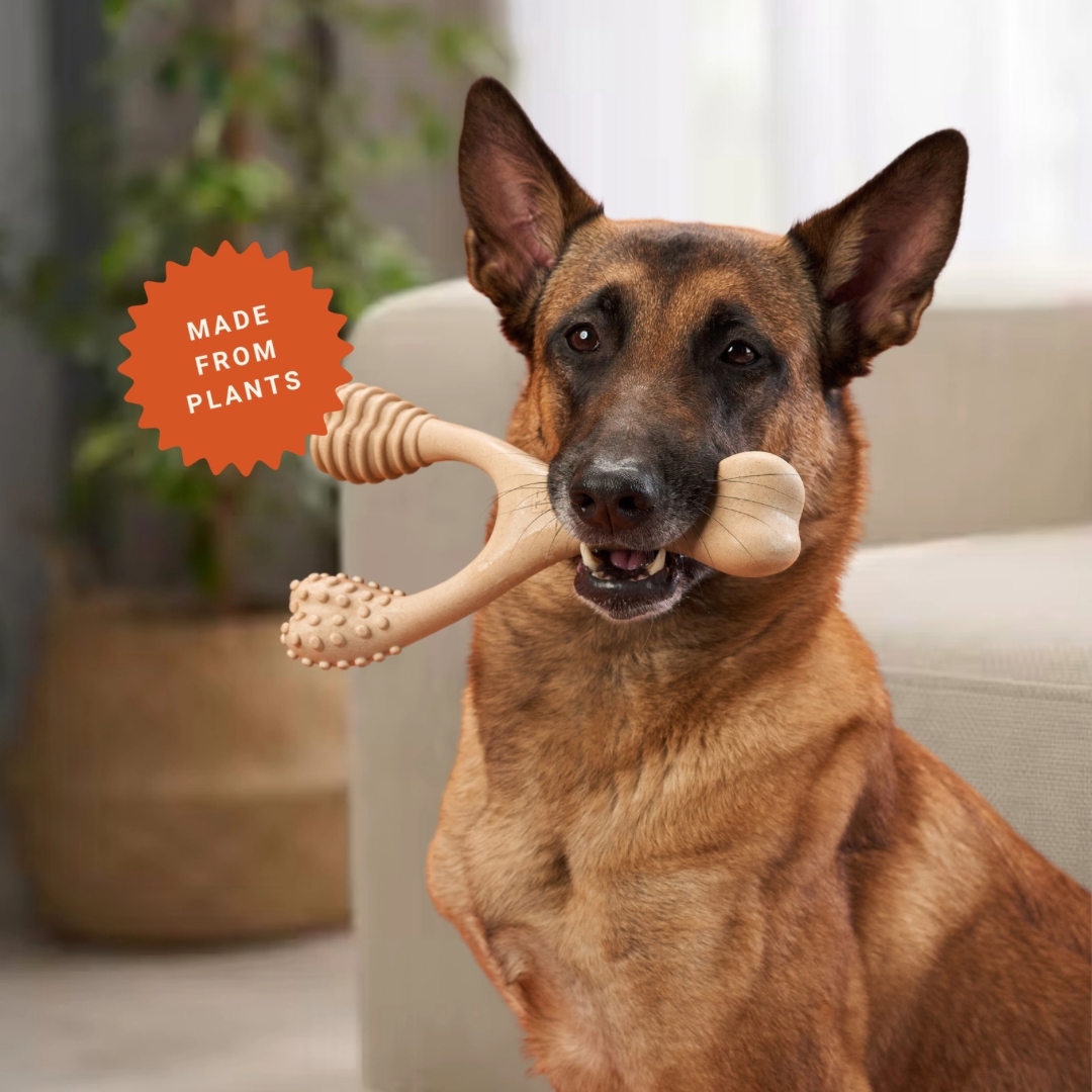 Large | Natural Plant-Based Splinter-Resistant Chew