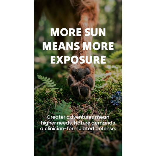 Sustenance Herbs Bor-L-Immune | Natural Tick Season Immune Support