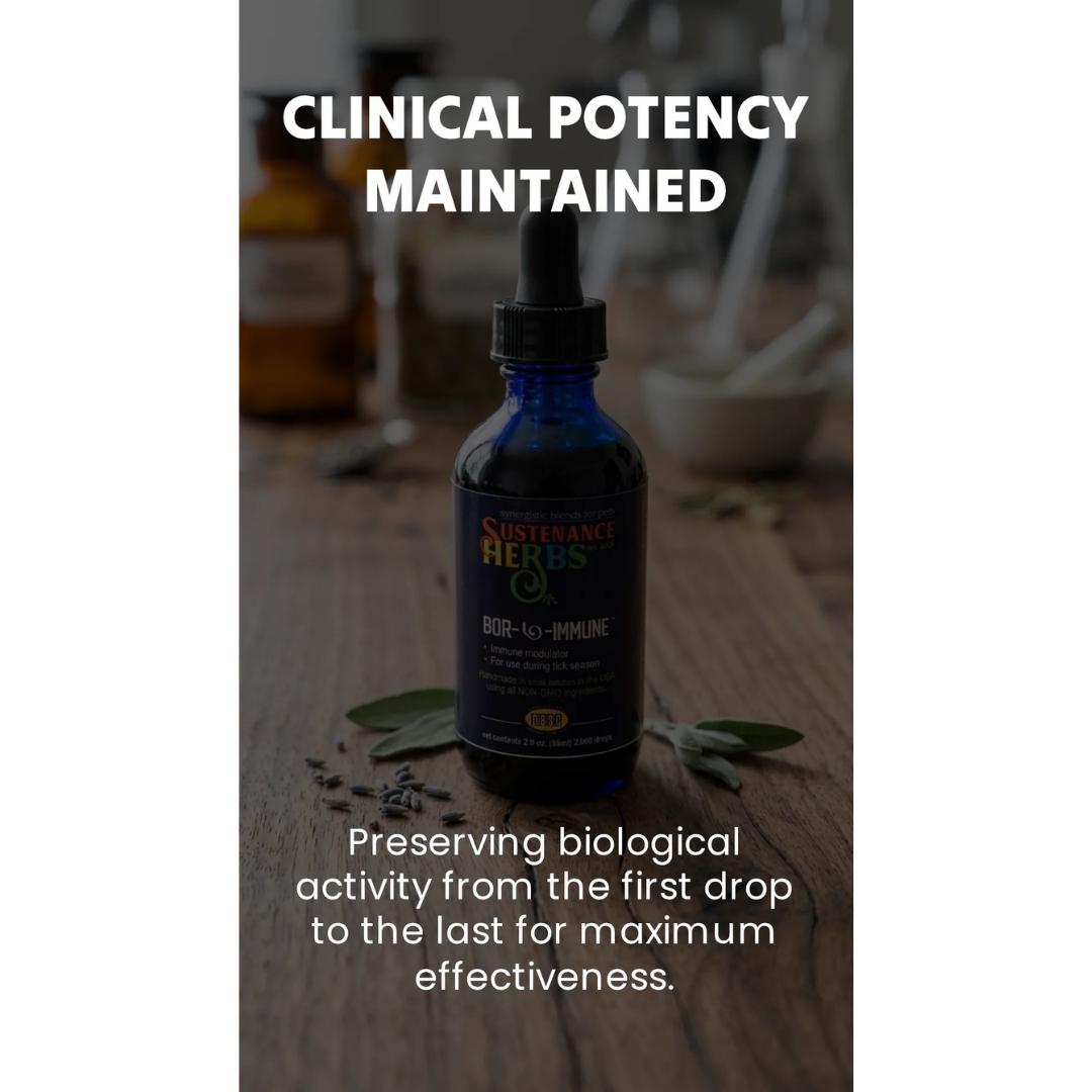 Sustenance Herbs Bor-L-Immune | Natural Tick Season Immune Support