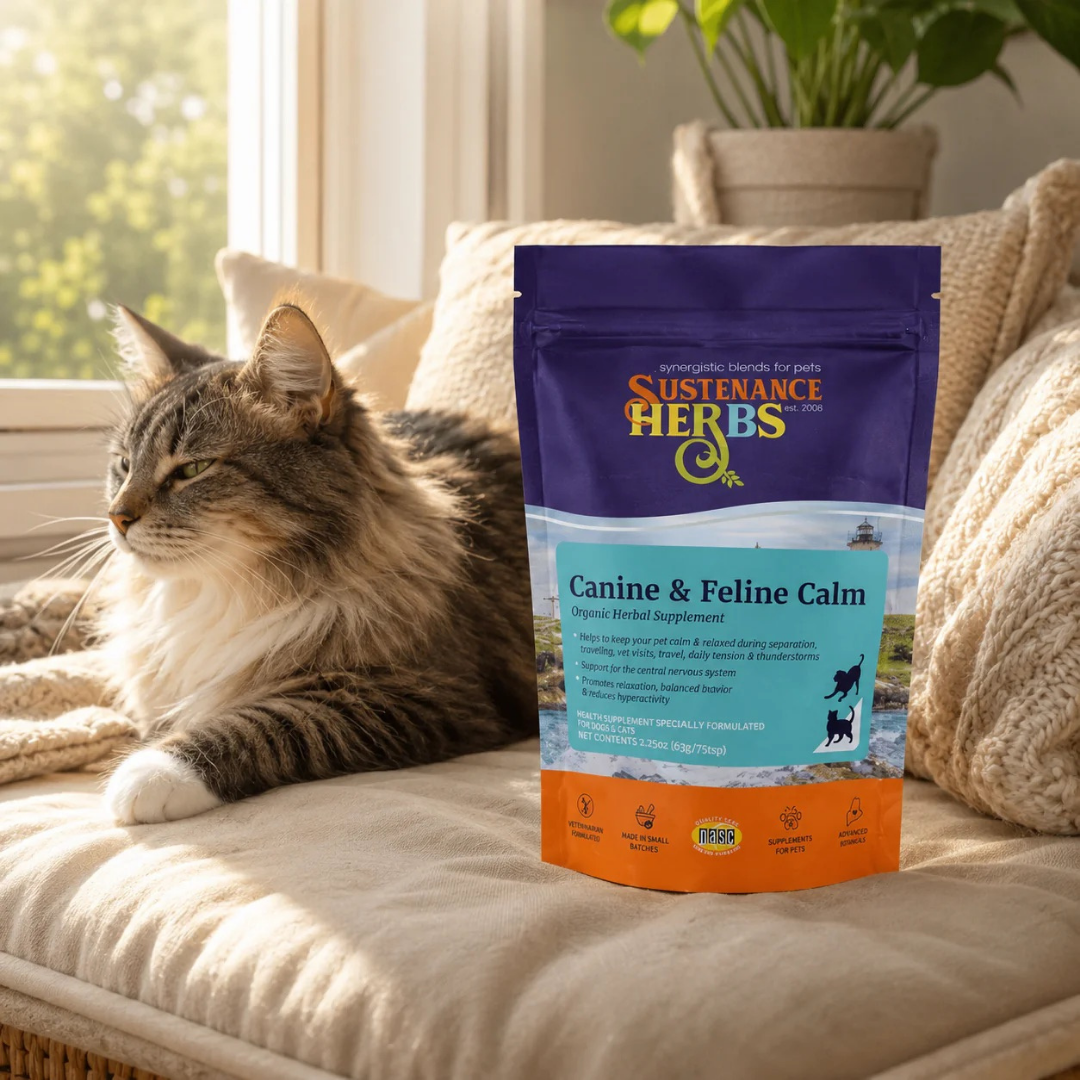 Sustenance Herbs Canine Calm | Organic Anxiety Powder