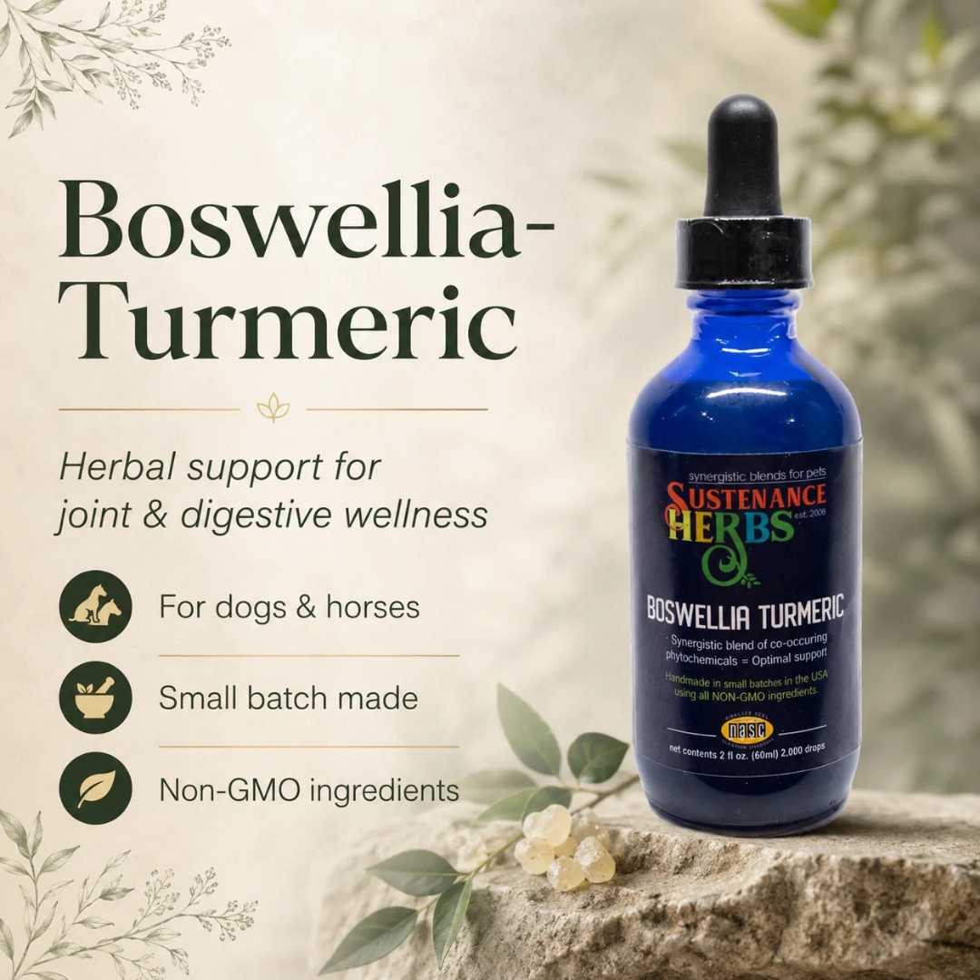 Sustenance Herbs Boswellia Turmeric