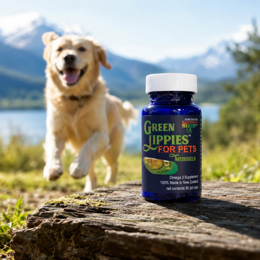 Sustenance Herbs Green Lippies | New Zealand Green-Lipped Mussel Oil