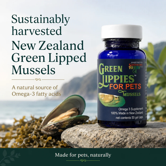 Sustenance Herbs Green Lippies | New Zealand Green-Lipped Mussel Oil
