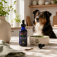 Sustenance Herbs GI Soothe Elixir | Natural Digestive Soother