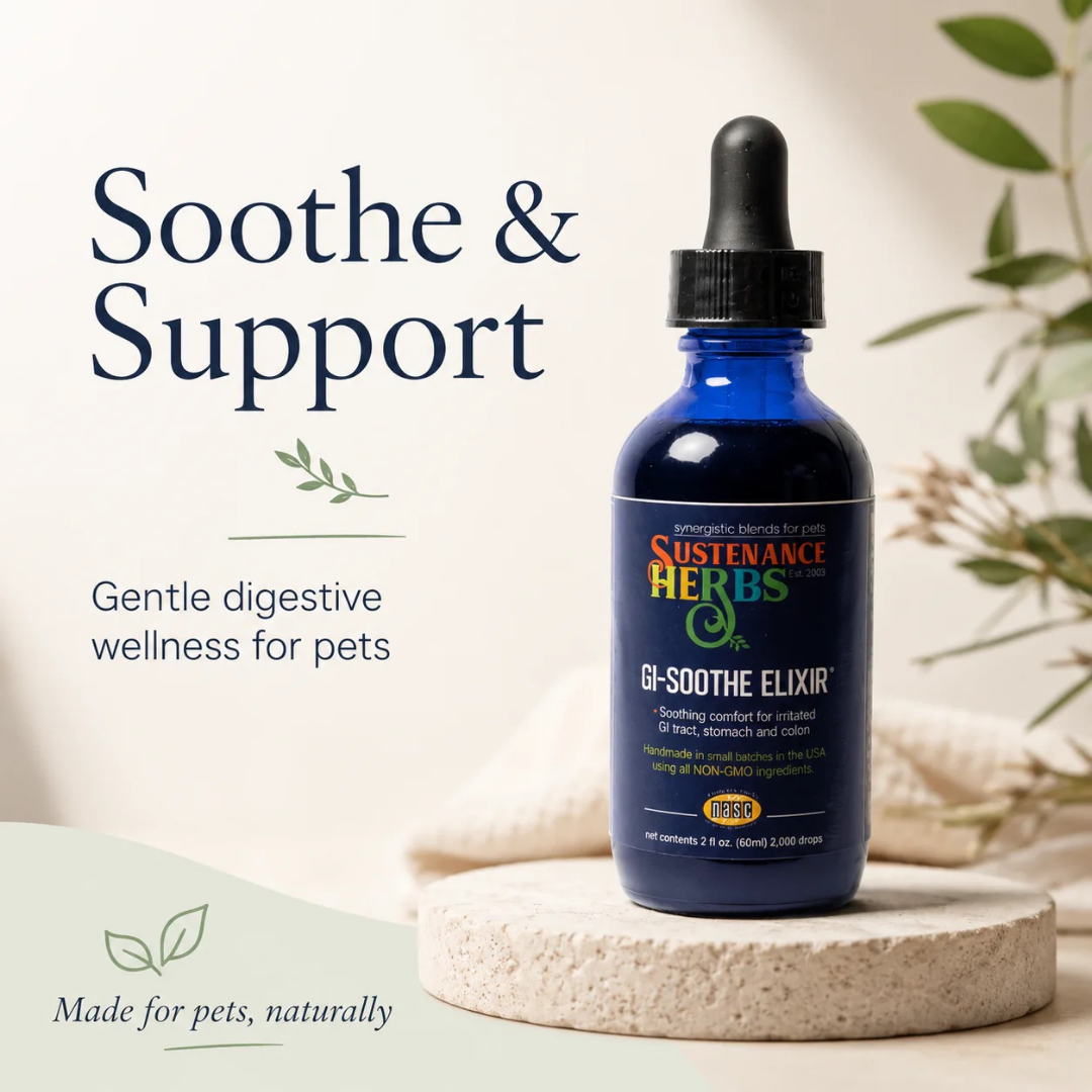 Sustenance Herbs GI Soothe Elixir | Natural Digestive Soother