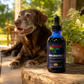 Sustenance Herbs Aging Gracefully | Senior Dog Vitality Tincture