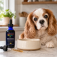 Sustenance Herbs Aging Gracefully | Senior Dog Vitality Tincture