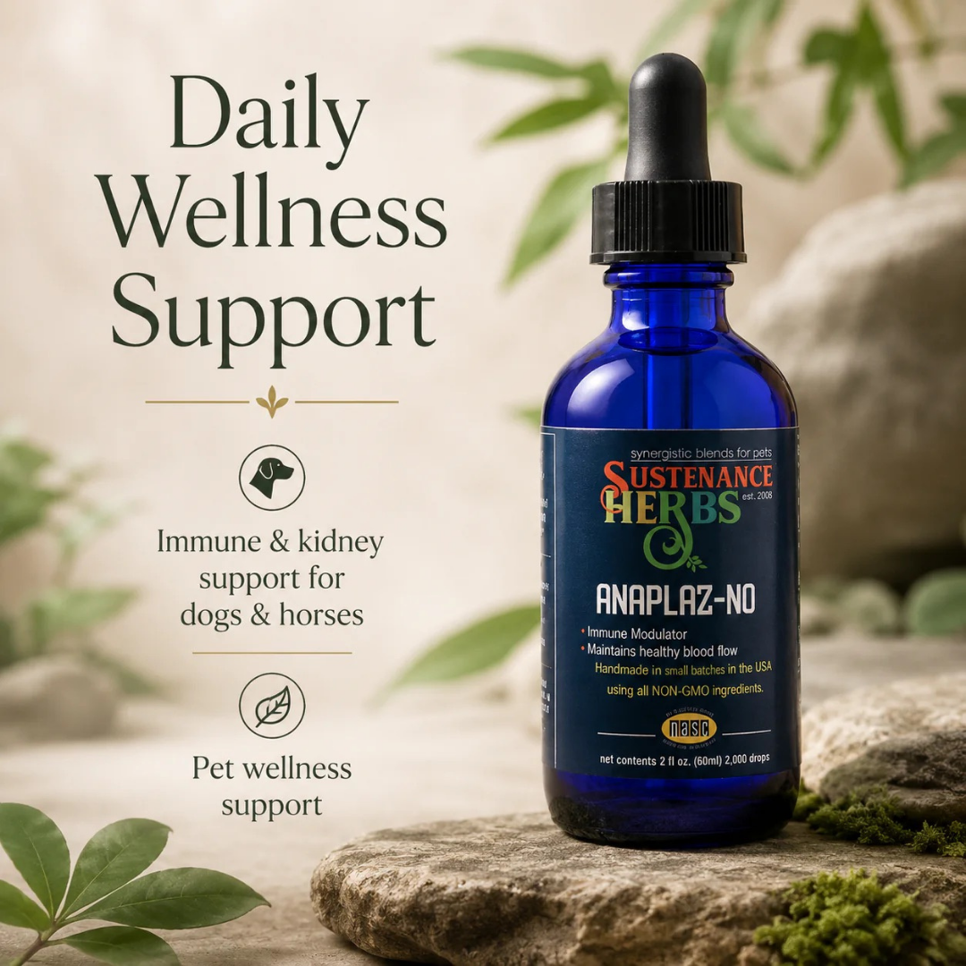 Sustenance Herbs Anaplaz-No | Anaplasma Recovery Support