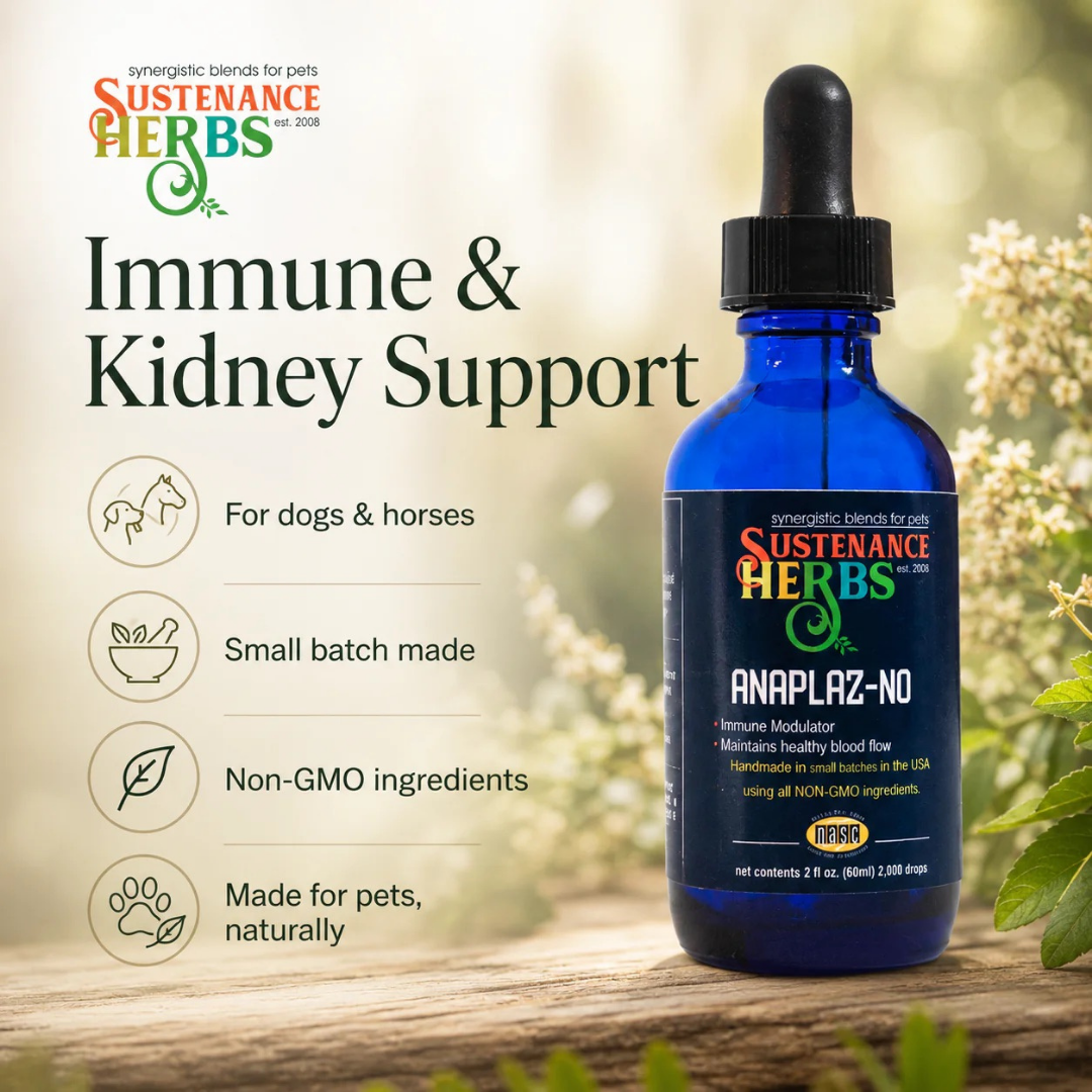 Sustenance Herbs Anaplaz-No | Anaplasma Recovery Support