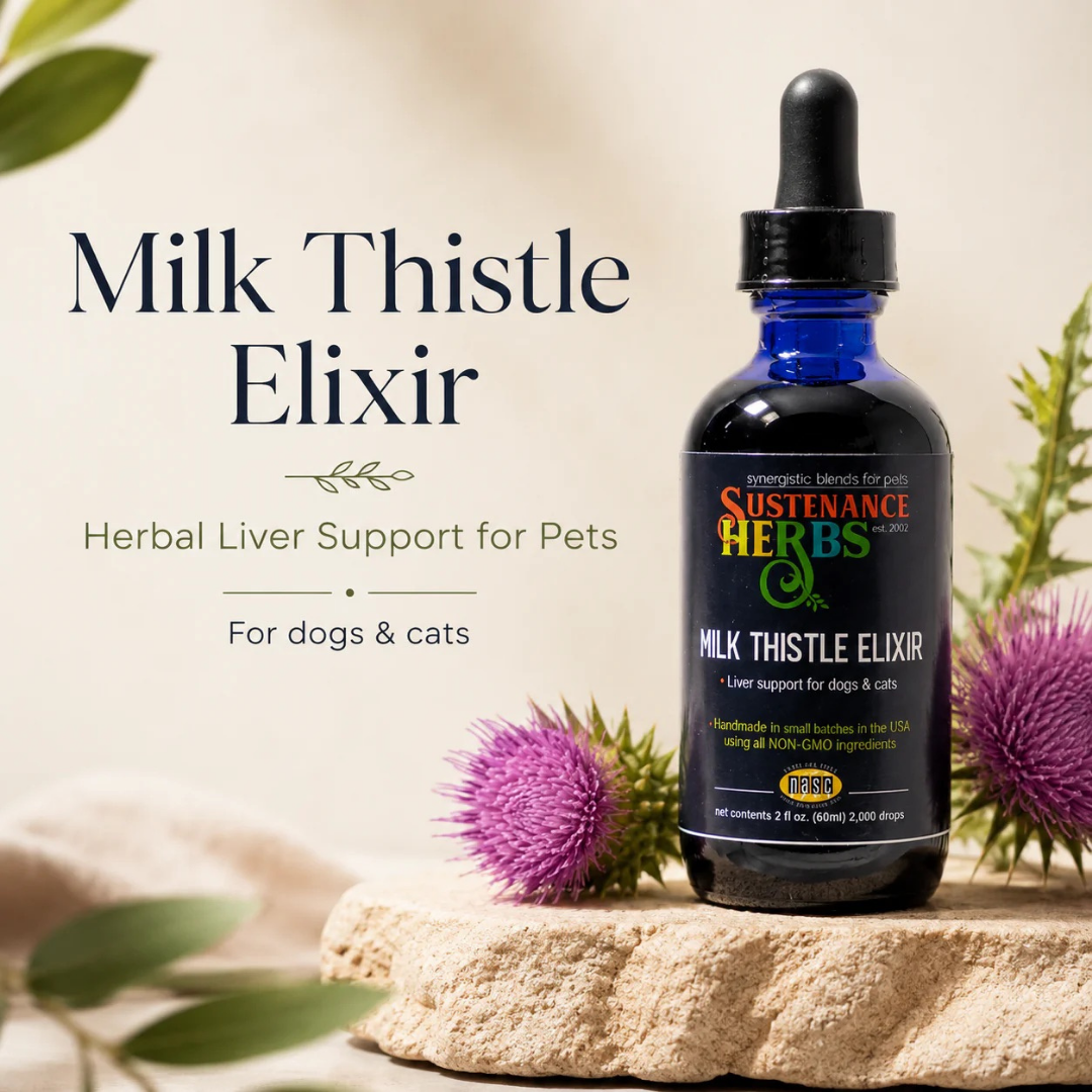 Sustenance Herbs Milk Thistle Elixir | Natural Organic Liver Support