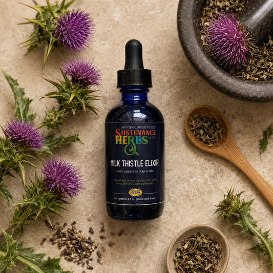 Sustenance Herbs Milk Thistle Elixir | Natural Organic Liver Support
