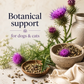 Sustenance Herbs Milk Thistle Elixir | Natural Organic Liver Support