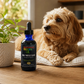 Sustenance Herbs Milk Thistle Elixir | Natural Organic Liver Support