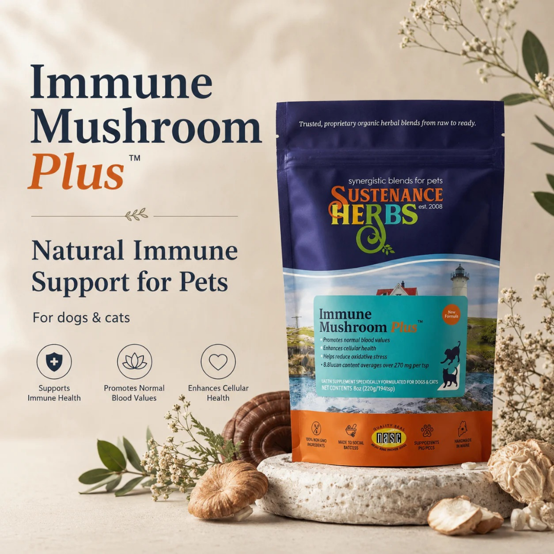 Sustenance Herbs Immune Mushroom Plus | Organic Mushroom Blend