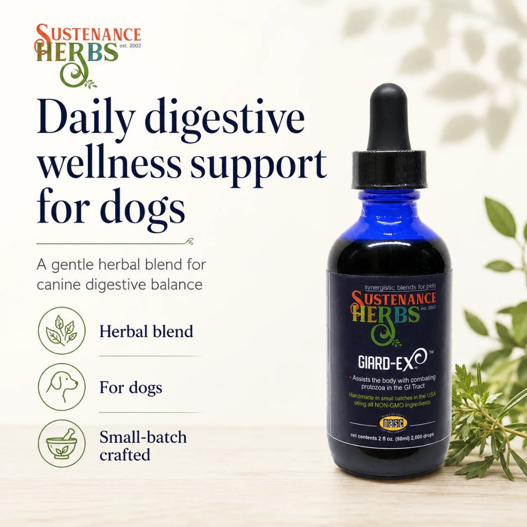 Sustenance Herbs Giard-Ex | Organic Natural Giardia Support