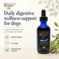 Sustenance Herbs Giard-Ex | Organic Natural Giardia Support