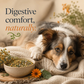 Sustenance Herbs Giard-Ex | Organic Natural Giardia Support