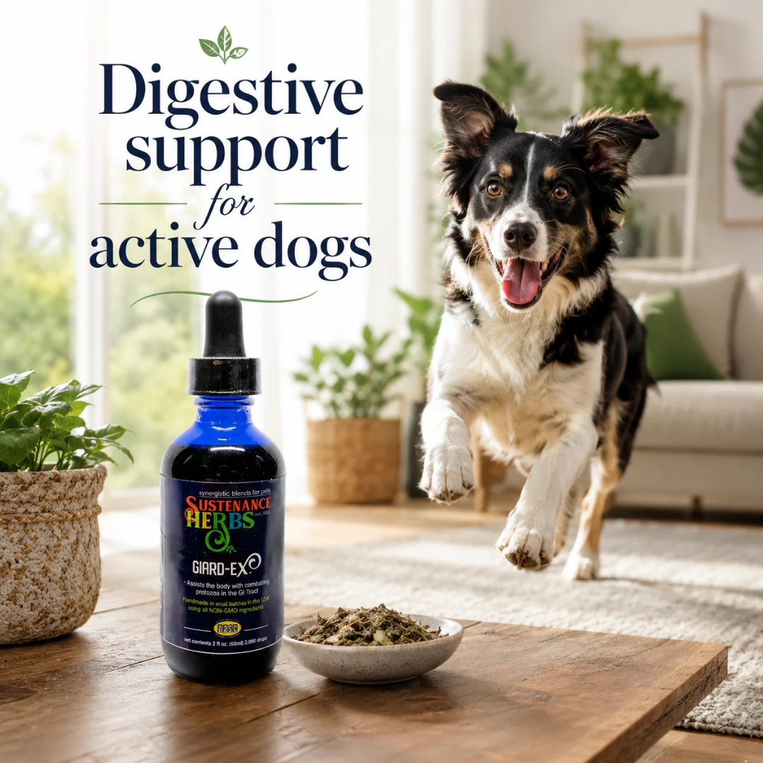 Sustenance Herbs Giard-Ex | Organic Natural Giardia Support