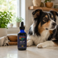 Sustenance Herbs Giard-Ex | Organic Natural Giardia Support
