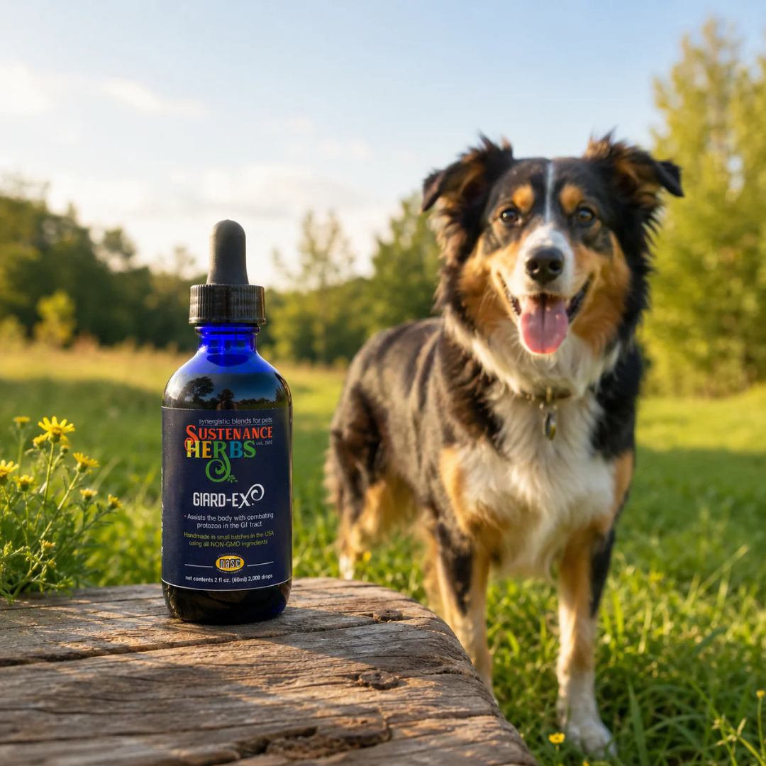 Sustenance Herbs Giard-Ex | Organic Natural Giardia Support