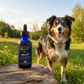 Sustenance Herbs Giard-Ex | Organic Natural Giardia Support