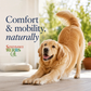 Sustenance Herbs Comfort Zone | Natural Herbal Comfort + Pain