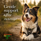 Sustenance Herbs Comfort Zone | Natural Herbal Comfort + Pain
