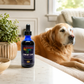 Sustenance Herbs Comfort Zone | Natural Herbal Comfort + Pain
