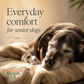 Sustenance Herbs Comfort Zone | Natural Herbal Comfort + Pain