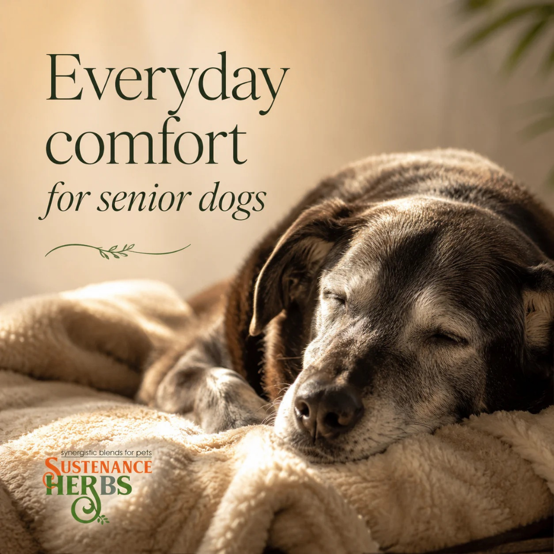 Sustenance Herbs Comfort Zone | Natural Herbal Comfort + Pain