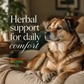 Sustenance Herbs Comfort Zone | Natural Herbal Comfort + Pain