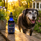 Sustenance Herbs Comfort Zone | Natural Herbal Comfort + Pain