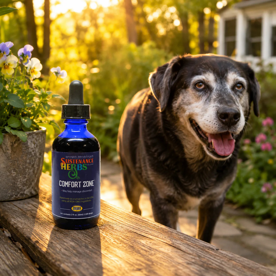 Sustenance Herbs Comfort Zone | Natural Herbal Comfort + Pain