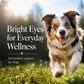 Sustenance Herbs Bright Eyes | Organic Natural Eye Support