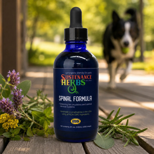 Sustenance Herbs Spinal Formula | Natural IVDD and Disc Support