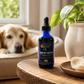 Sustenance Herbs Cognitive Function | Natural Brain Support for Senior Dogs