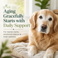 Sustenance Herbs Cognitive Function | Natural Brain Support for Senior Dogs