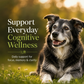 Sustenance Herbs Cognitive Function | Natural Brain Support for Senior Dogs