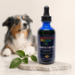 Sustenance Herbs Cognitive Function | Natural Brain Support for Senior Dogs