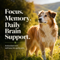 Sustenance Herbs Cognitive Function | Natural Brain Support for Senior Dogs