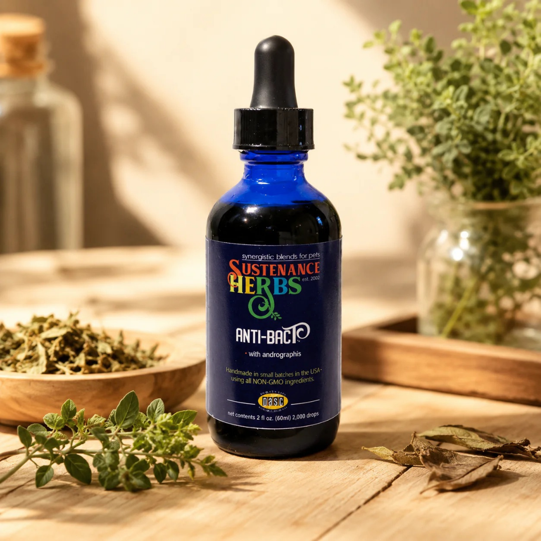 Sustenance Herbs AntiBacT | Natural Organic Herbal Antibacterial Support