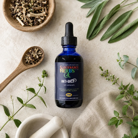 Sustenance Herbs AntiBacT | Natural Organic Herbal Antibacterial Support