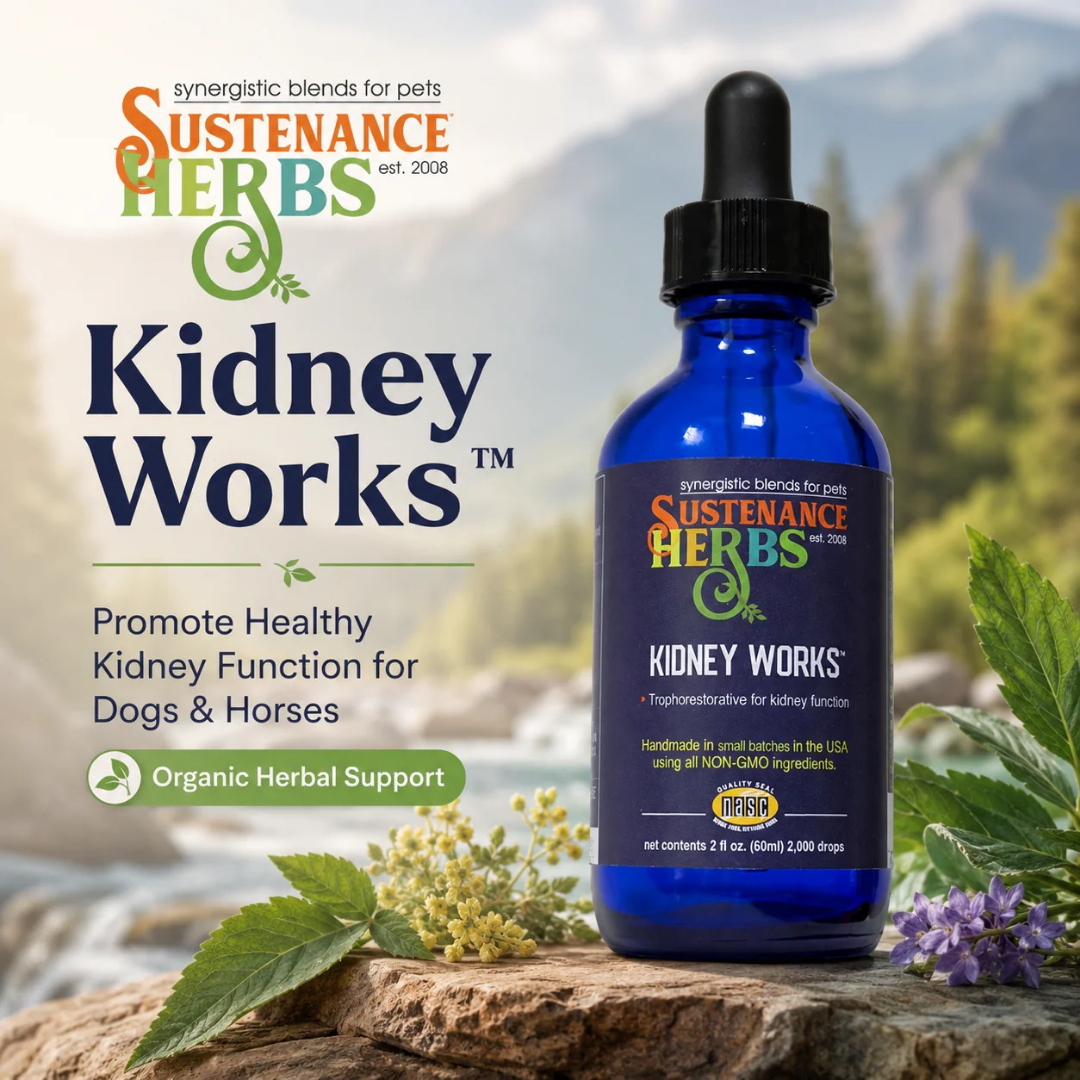 Sustenance Herbs Kidney Works | Organic Herbal Kidney Support Drops for Senior + Aging Dogs