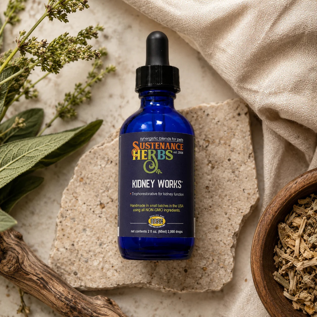 Sustenance Herbs Kidney Works | Organic Herbal Kidney Support Drops for Senior + Aging Dogs