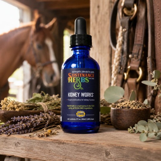 Sustenance Herbs Kidney Works | Organic Herbal Kidney Support Drops for Senior + Aging Dogs