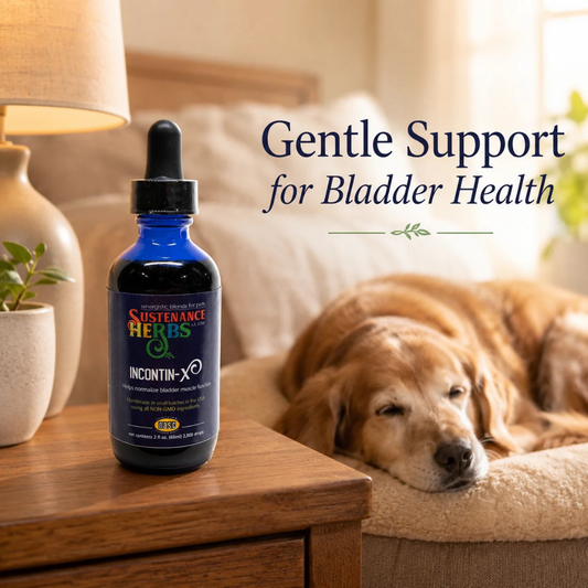 Sustenance Herbs IncontinX | Natural Organic Bladder Tone Support