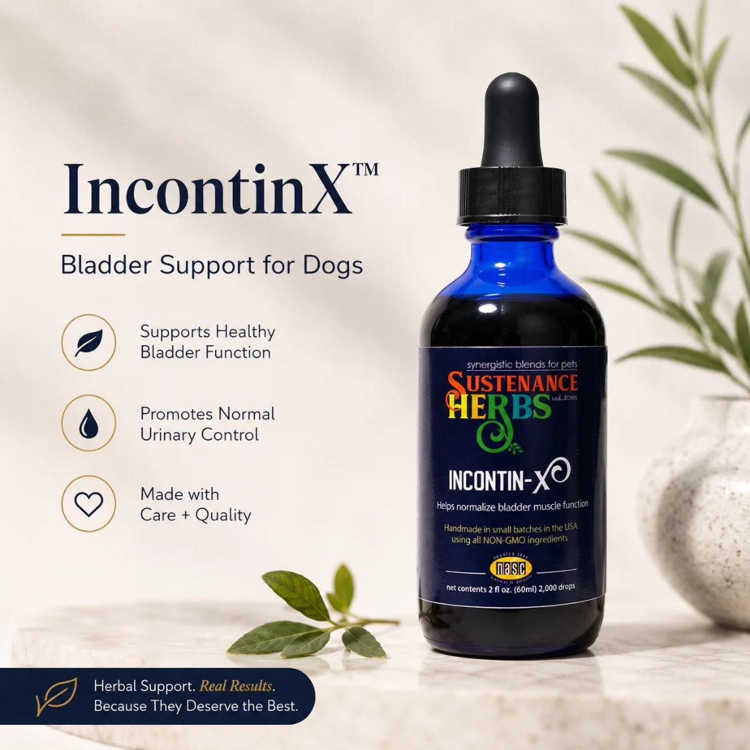 Sustenance Herbs IncontinX | Natural Organic Bladder Tone Support