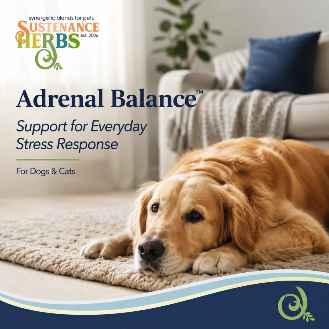 Sustenance Herbs Adrenal Balance